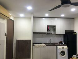 Soho @ Farrer (D8), Apartment #577429891